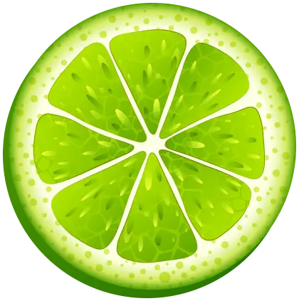 Bright Green Lime Slice