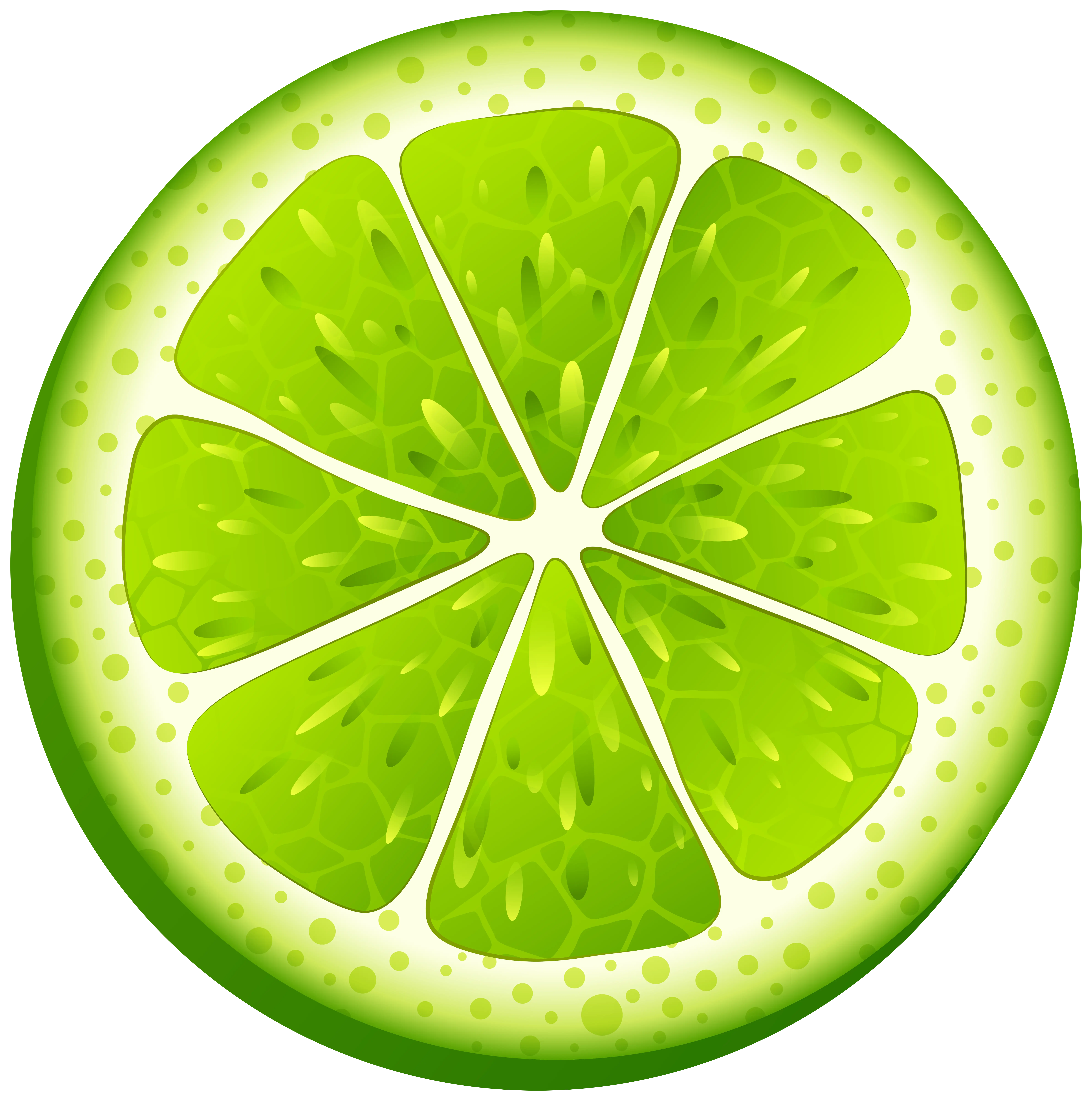 Bright Green Lime Slice