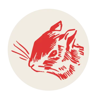 Red Squirrel Illustration