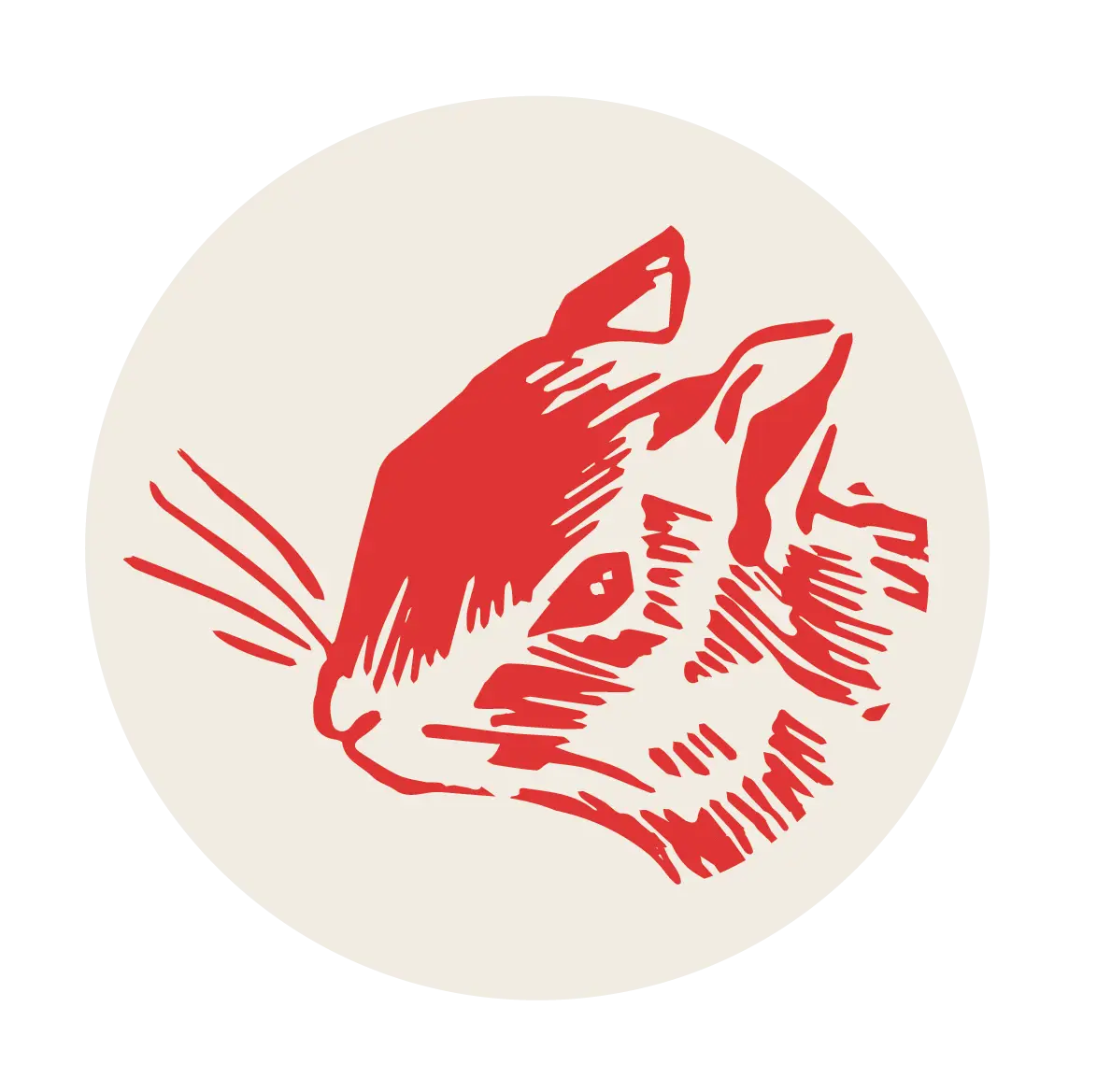 Red Squirrel Illustration