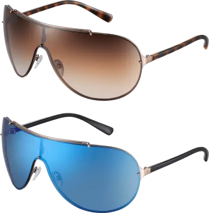Sunglasses in Two Styles