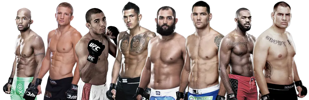 Group of MMA Fighters