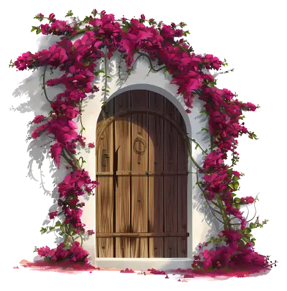 Beautiful Wooden Door Framed with Pink Bougainvillea