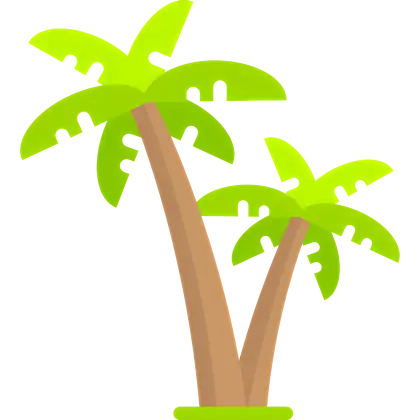 Tropical Palm Trees Illustration
