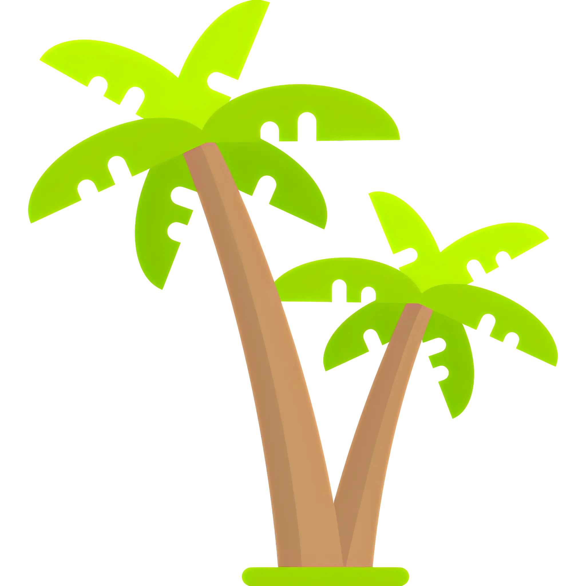 Tropical Palm Trees Illustration