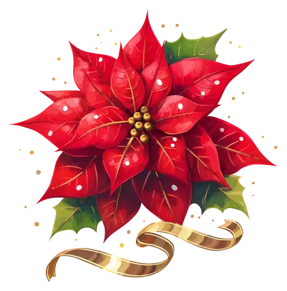 Festive Poinsettia Flower