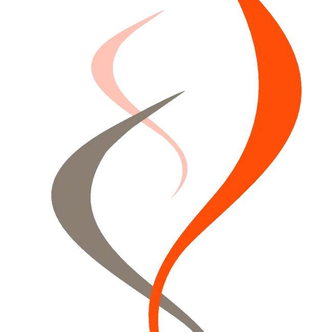 Curved Abstract Lines Design