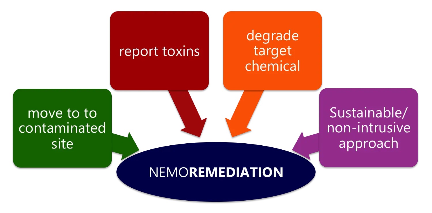 Diagram of Remediation Process for Environmental Cleanup