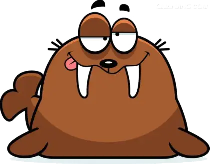 Cute Cartoon Walrus