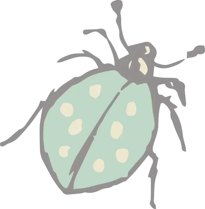Green Beetle with Spots