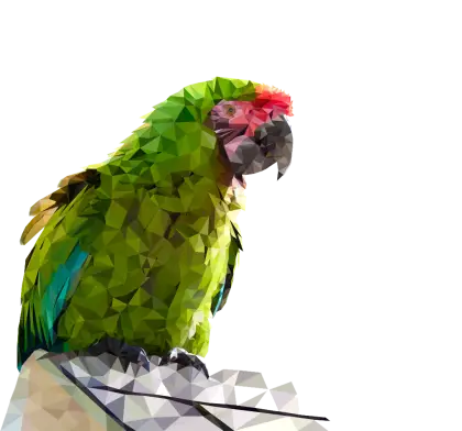Geometric Art of a Green Parrot