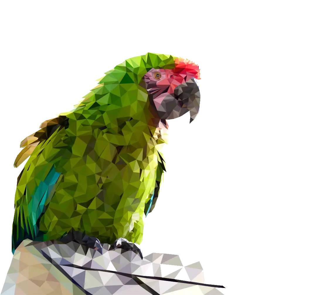 Geometric Art of a Green Parrot