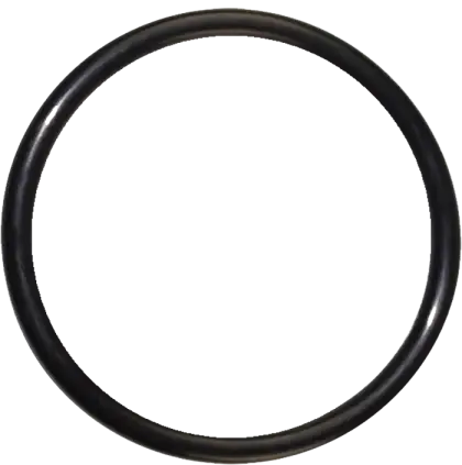 Minimal Black Circular Ring Design