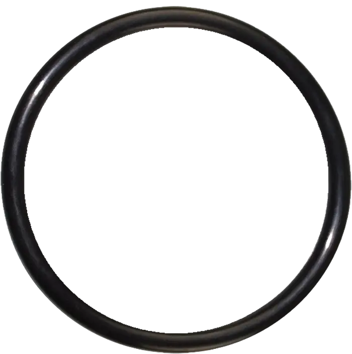 Minimal Black Circular Ring Design