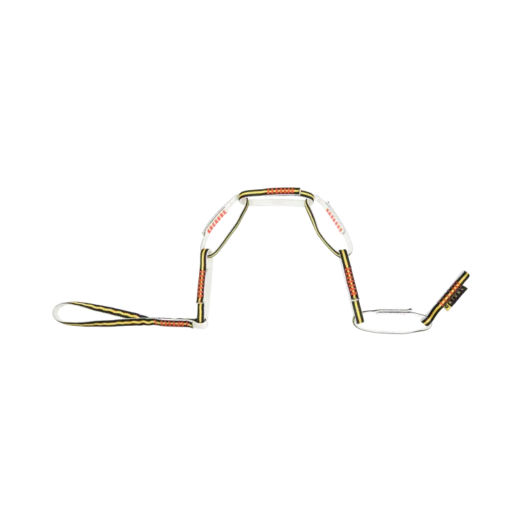 Dog Training Collar for Pets