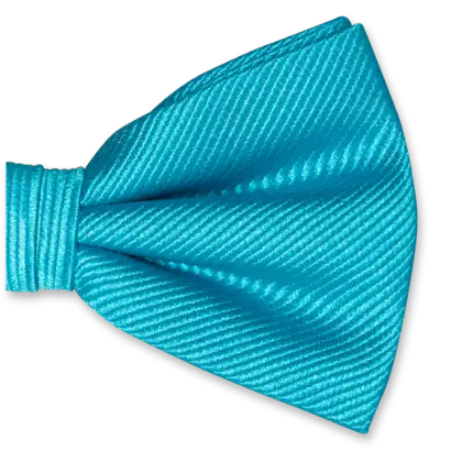 Elegant Blue Bow Tie