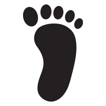 Black Footprint Silhouette Icon