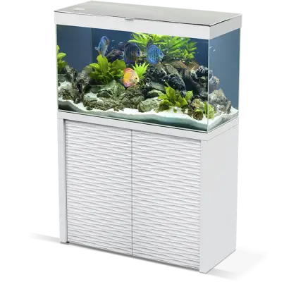 Aquarium Tank with Fish and Decor Illustration