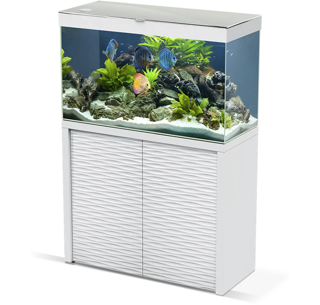 Aquarium Tank with Fish and Decor Illustration