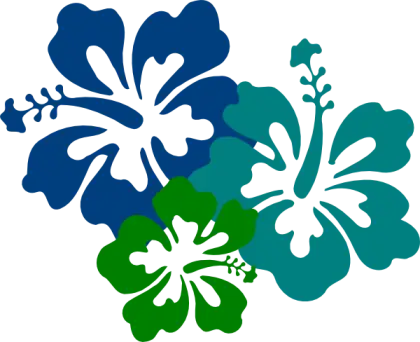 Colorful Hibiscus Flower Illustration