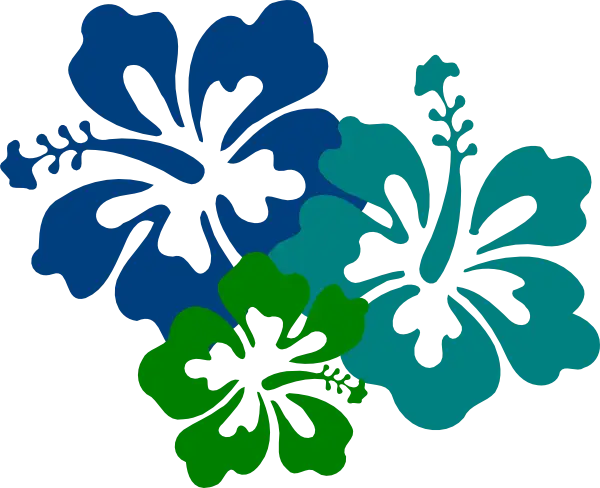 Colorful Hibiscus Flower Illustration