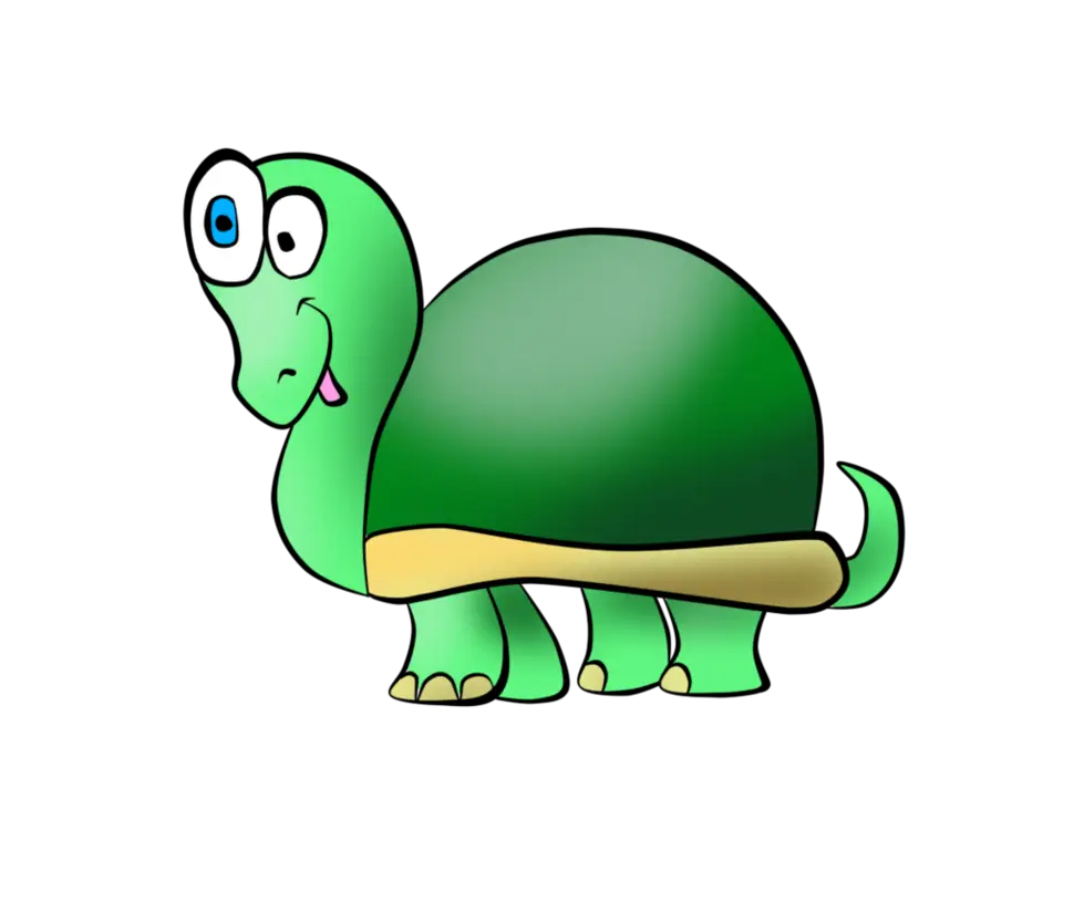 Cute Cartoon Turtle Illustration in Green