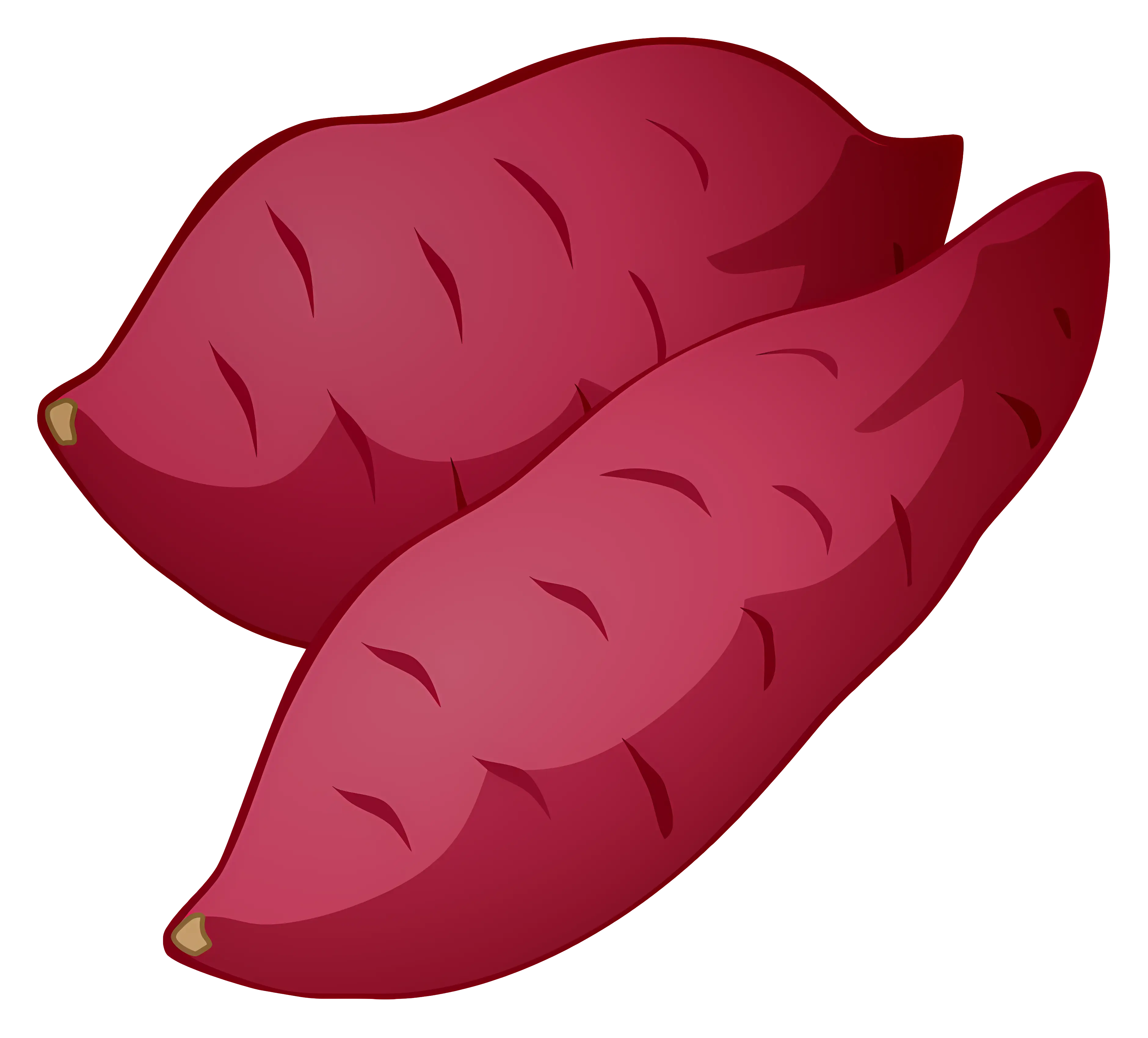 Two Sweet Potatoes