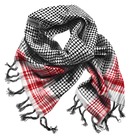 Checkered Patterned Scarf with Fringe