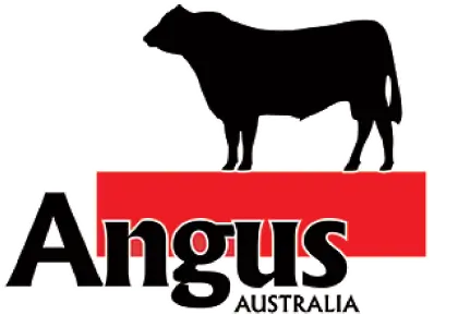 Angus Australia Logo