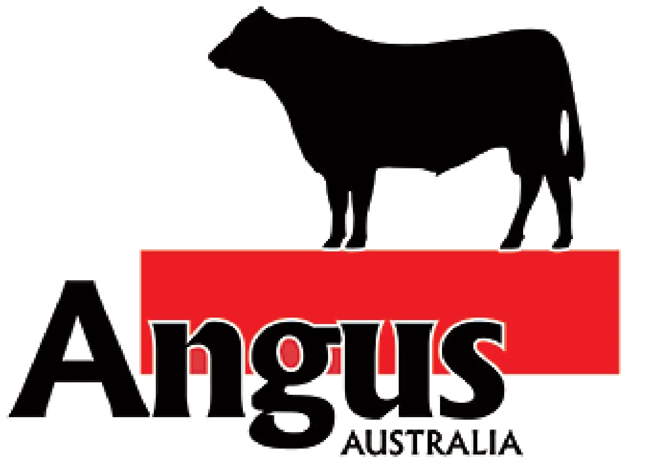 Angus Australia Logo