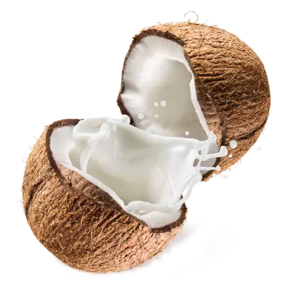 Coconut with Milk Splash