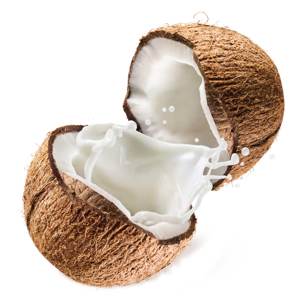 Coconut with Milk Splash
