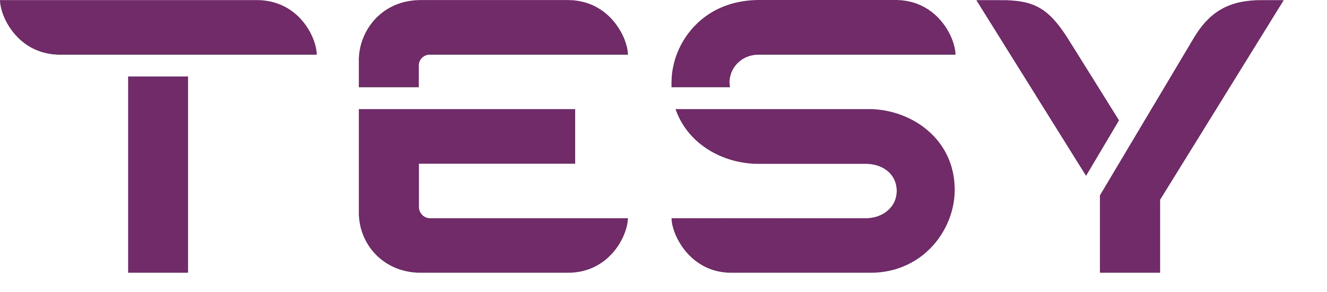 TESY Brand Logo