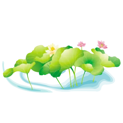 Lotus Leaves in Water