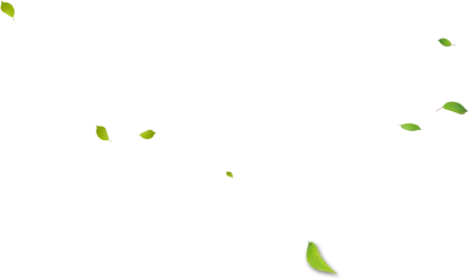 Scattered Small Green Leaves Illustration
