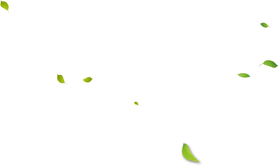Scattered Small Green Leaves Illustration