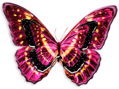 Colorful Pink Butterfly Illustration