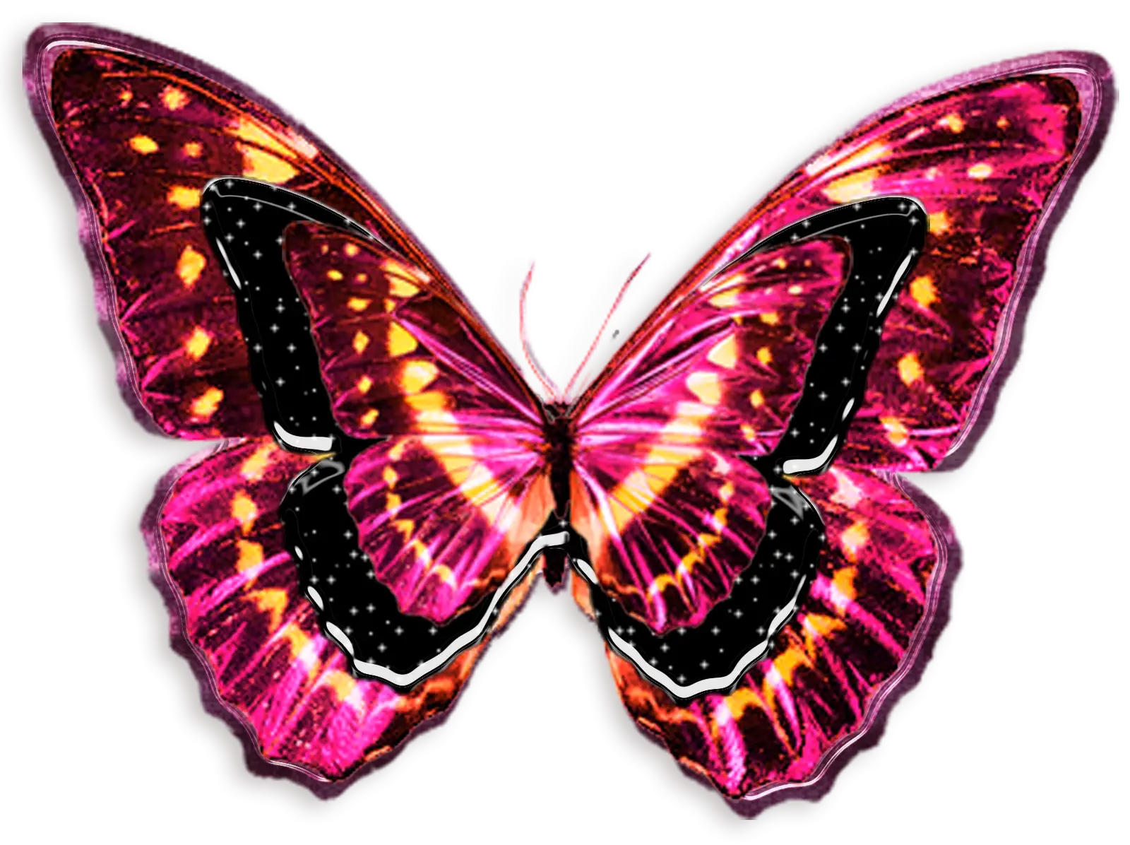 Colorful Pink Butterfly Illustration