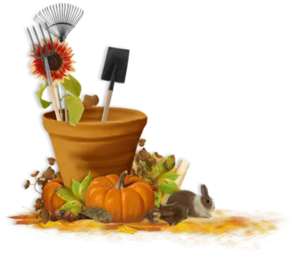 Garden Tools with Autumn Decorations