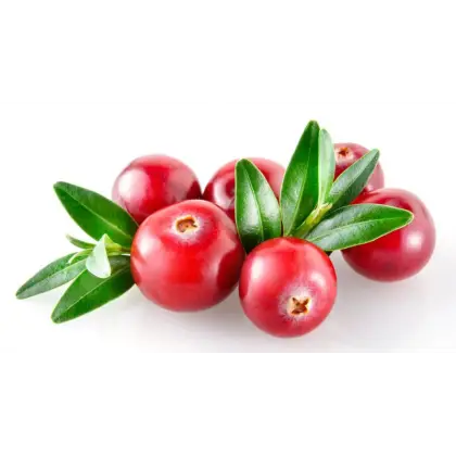 Fresh Cranberries with Leaves