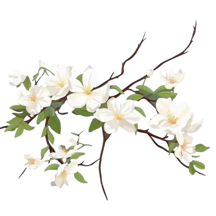 White Magnolia Flower Branch Illustration