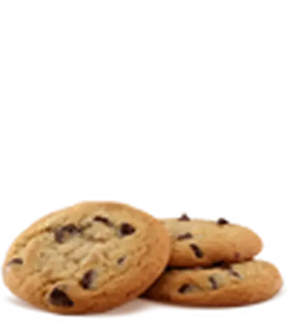 Chocolate Chip Cookies Freshly Baked