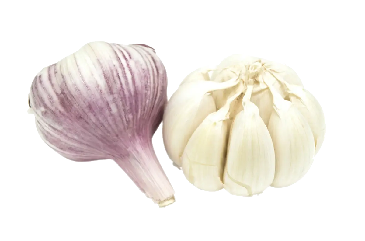 Garlic Bulbs for Cooking