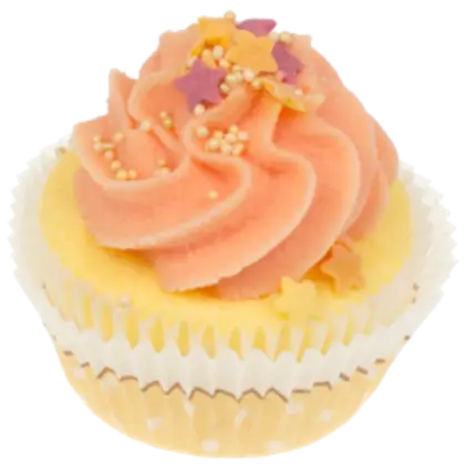 Decorated Cupcake