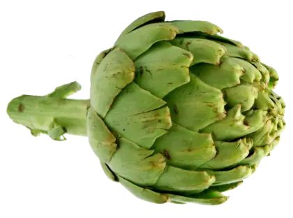 Fresh Green Artichoke on Transparent Background