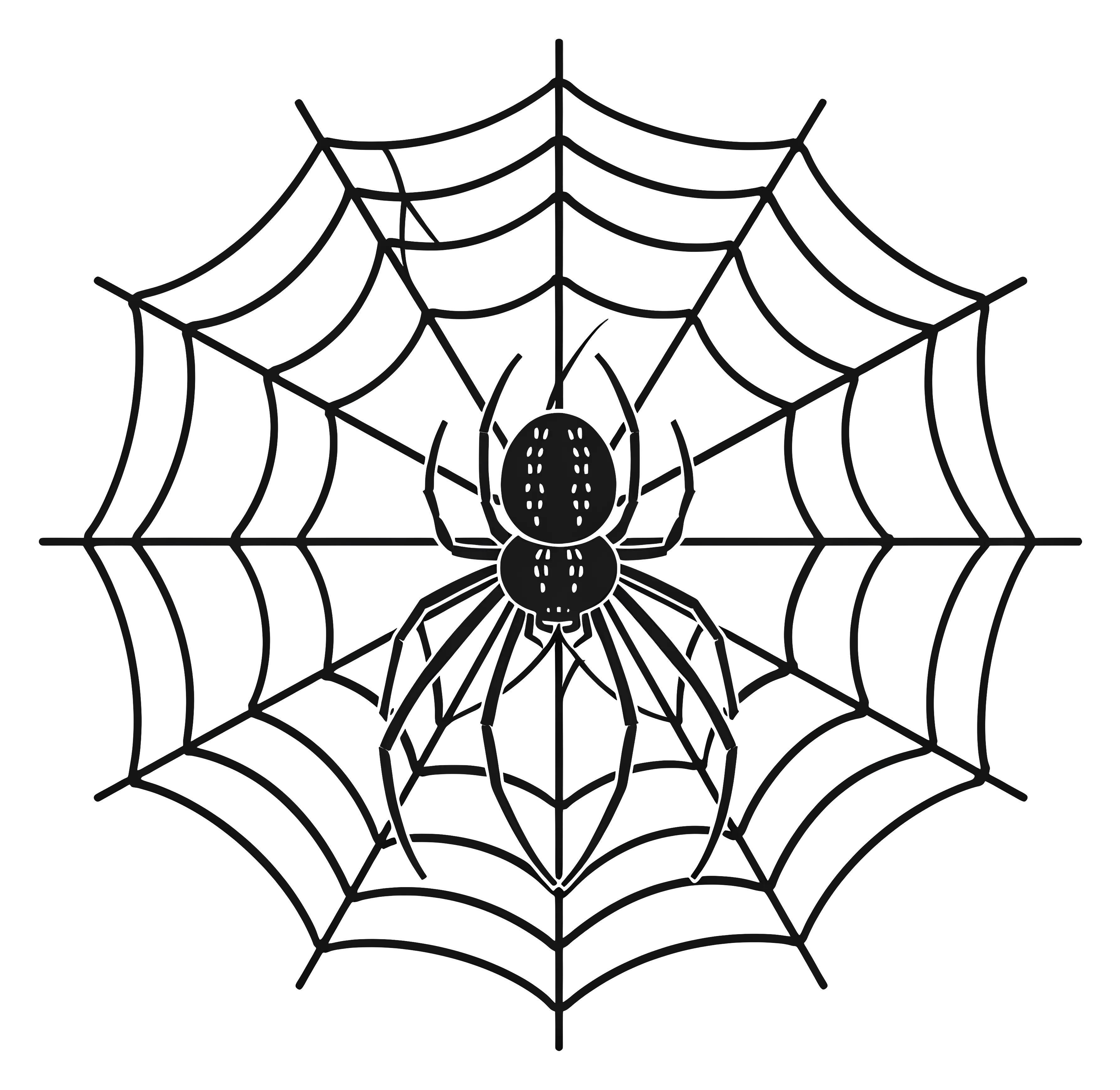 Illustration of Spider in Web