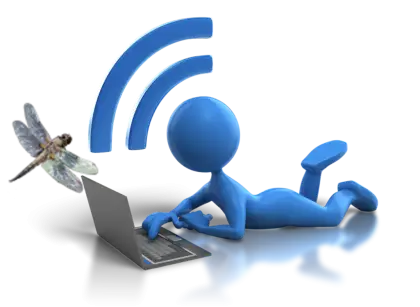 Blue Figure Using Laptop with Wifi Symbol and Dragonfly