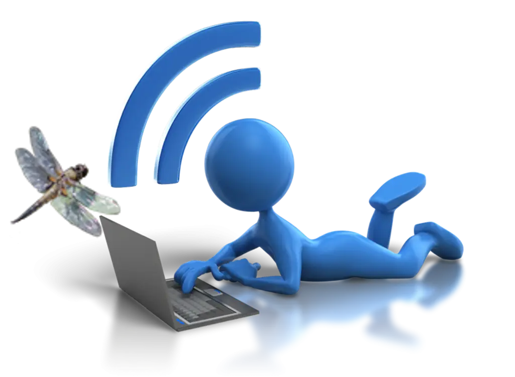 Blue Figure Using Laptop with Wifi Symbol and Dragonfly