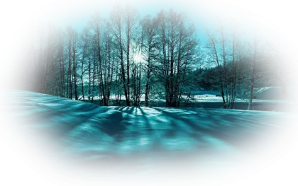 Winter Landscape with Trees