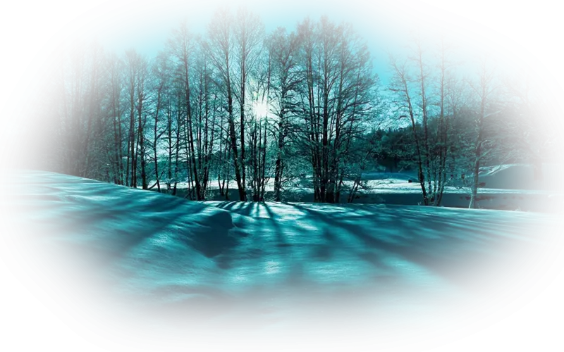 Winter Landscape with Trees